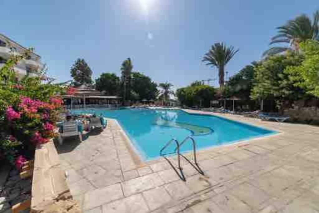 Dream Studio270M From The Beach Paphos Exteriör bild